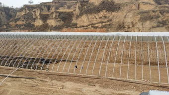 河南日光溫室建造工程與邯鄲日光溫室建造廠家 高效設施農業(yè)的施工實踐